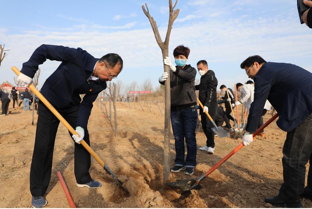 市政協(xié)機關(guān)積極參加義務(wù)植樹活動